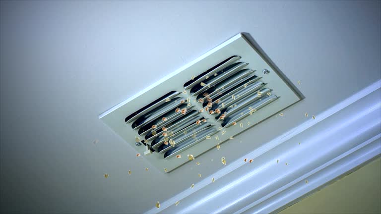 Best Affordable HVAC Duct Cleaning  in Mount Ayr, IA