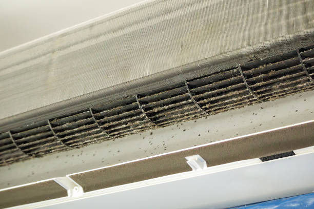 Best Affordable Air Duct Cleaning  in Mount Ayr, IA